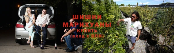 спайс Белокуриха