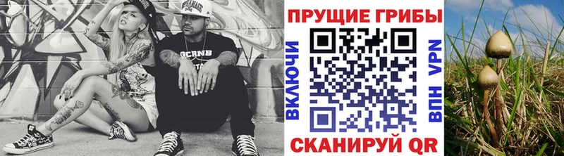 закладки  Козьмодемьянск  Галлюциногенные грибы GOLDEN TEACHER 