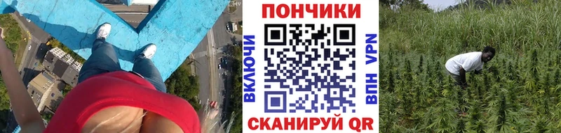 купить наркотик  Козьмодемьянск  мориарти как зайти  Шишки марихуана ГИДРОПОН 